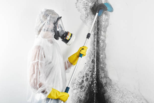 Mold Remediation for Rental Properties in Porter Heights, TX