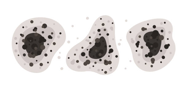 Best Air Quality Testing for Mold Spores  in Porter Heights, TX