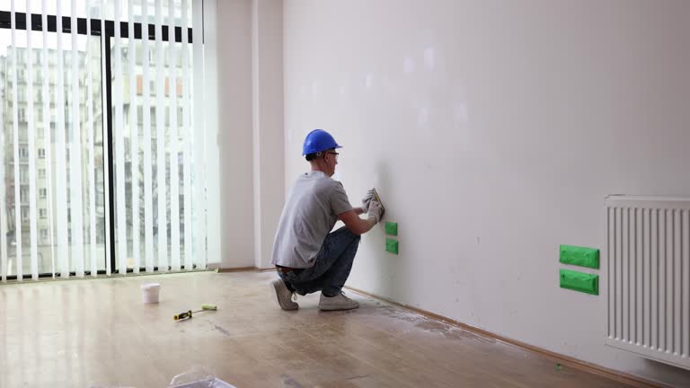 Best Basement Mold Removal  in Porter Heights, TX