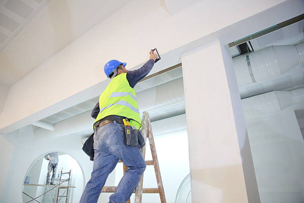 Best Crawl Space Mold Remediation  in Porter Heights, TX