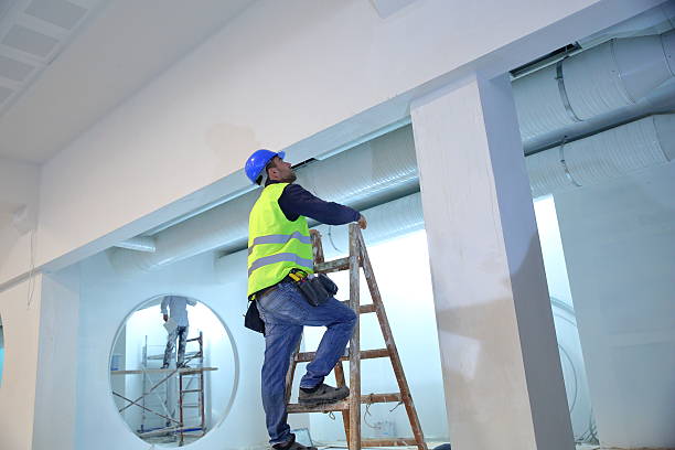 Best Water Damage & Mold Remediation  in Porter Heights, TX